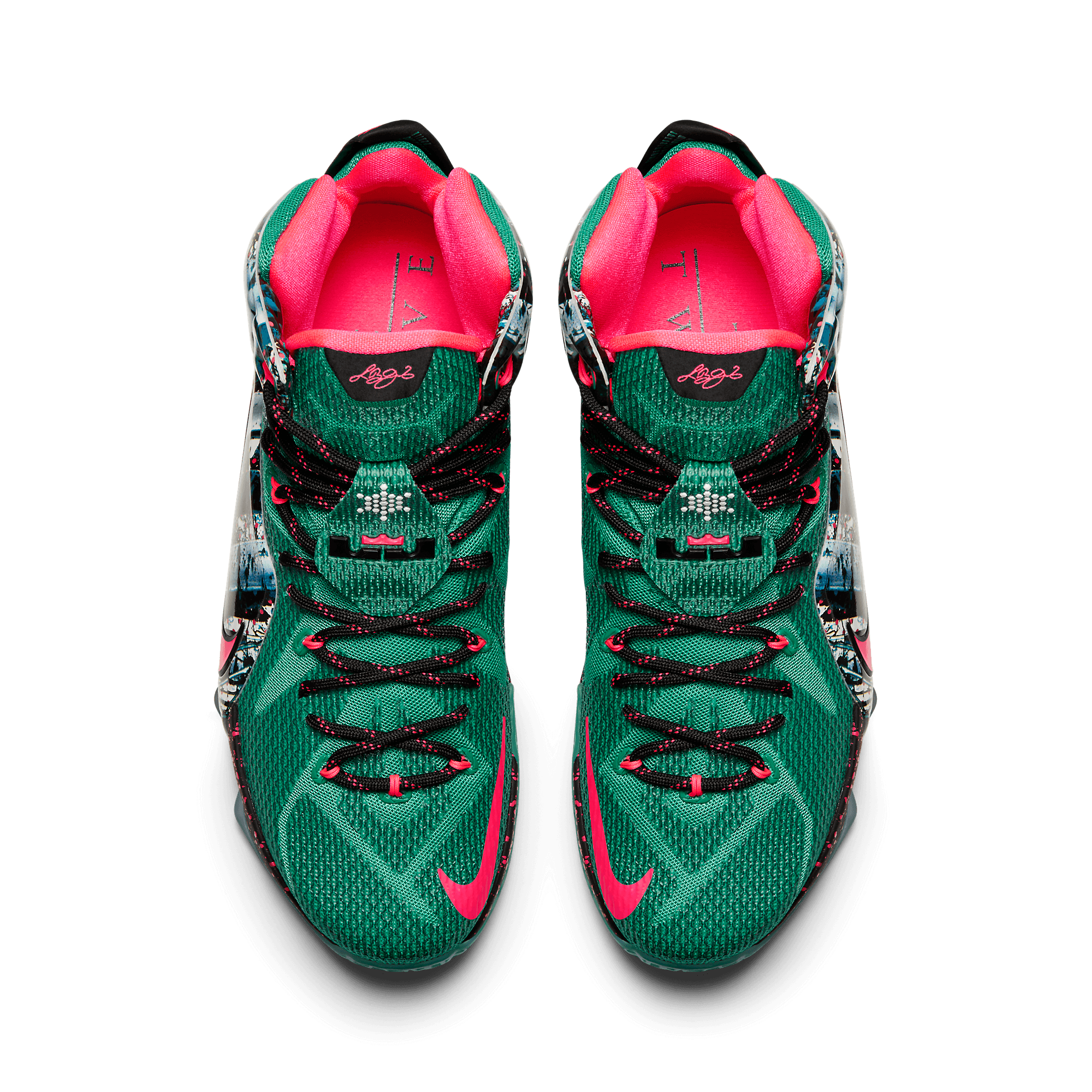 lebron 12 akron birch