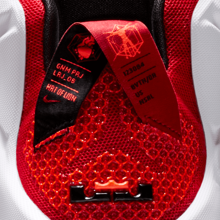 Nike LeBron 12 Heart of a Lion Angle 4