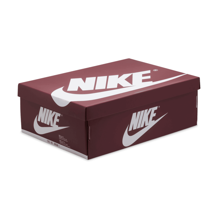 Air Jordan 1 Retro High OG Team Red Angle 6