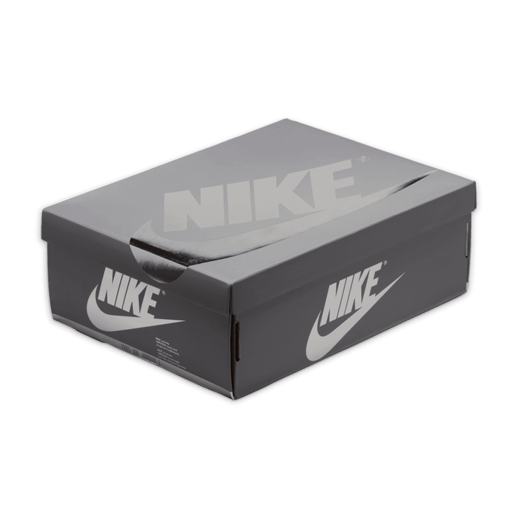 Air Jordan 1 Retro Low OG Silver Angle 6