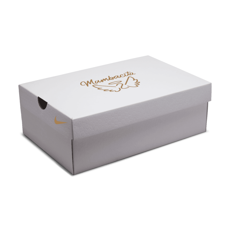 Nike Kobe 8 Protro Mambacita (GS) Angle 9