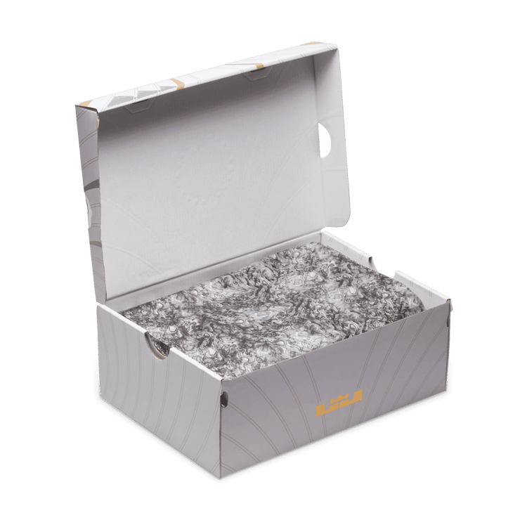 Nike LeBron 21 SE James Theater (GS) Angle 10