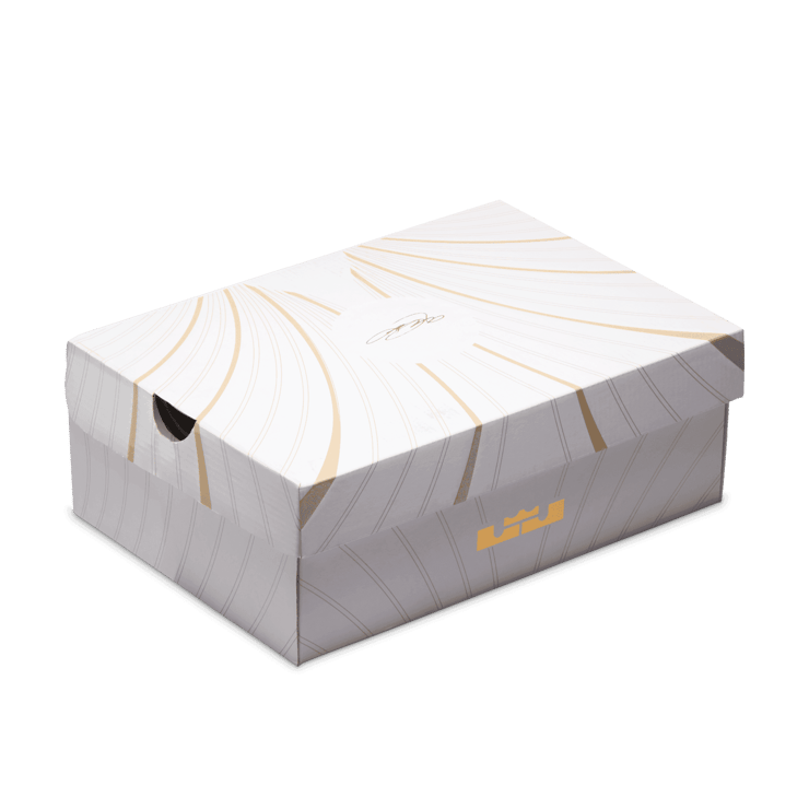 Nike LeBron 21 SE James Theater (GS) Angle 9