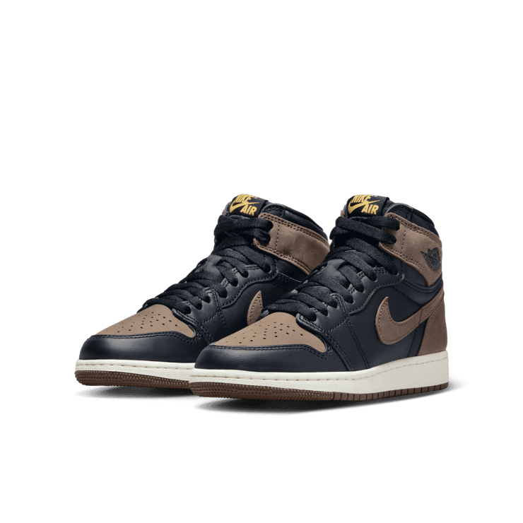 Air Jordan 1 Retro High OG Palomino (GS) Angle 2