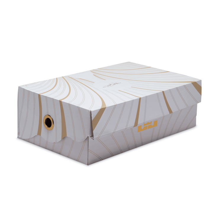 Nike LeBron 21 Akoya Angle 7