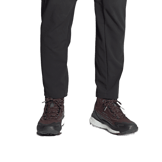 adidas Terrex Free Hiker 2.0 and wander Shadow Brown Angle 0