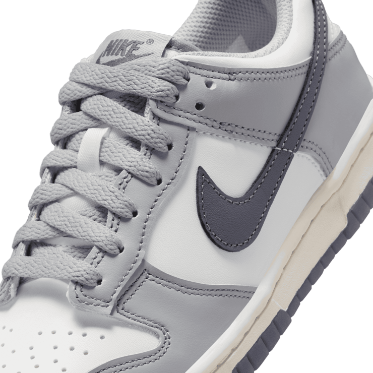 Nike Dunk Low Platinum Tint Light Carbon (GS) Angle 4