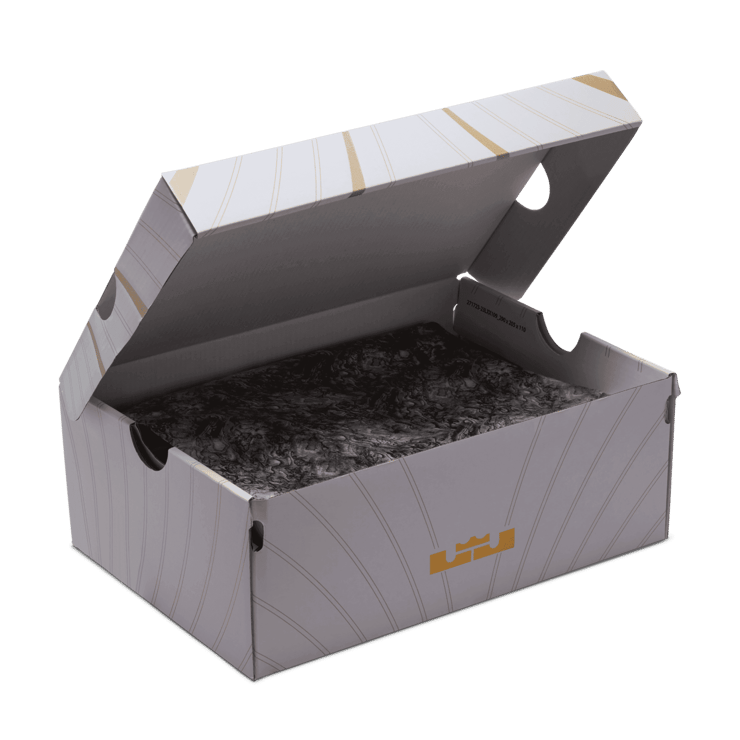 Nike LeBron 21 Tahitian (GS) Angle 7