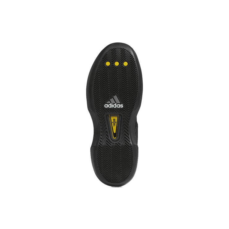adidas Crazy 1 Black Graphite Angle 1
