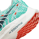 Nike Pegasus Turbo Road Angle 5
