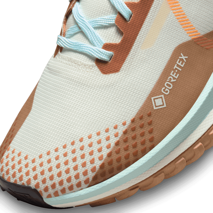 Nike React Pegasus Trail 4 GORE-TEX 'Have a Nike Day' Angle 4