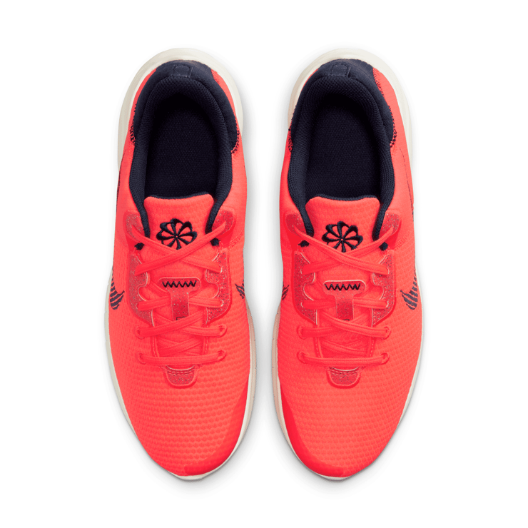 Nike Flex Experience Run 11 Road - DD9284-600 Release Info