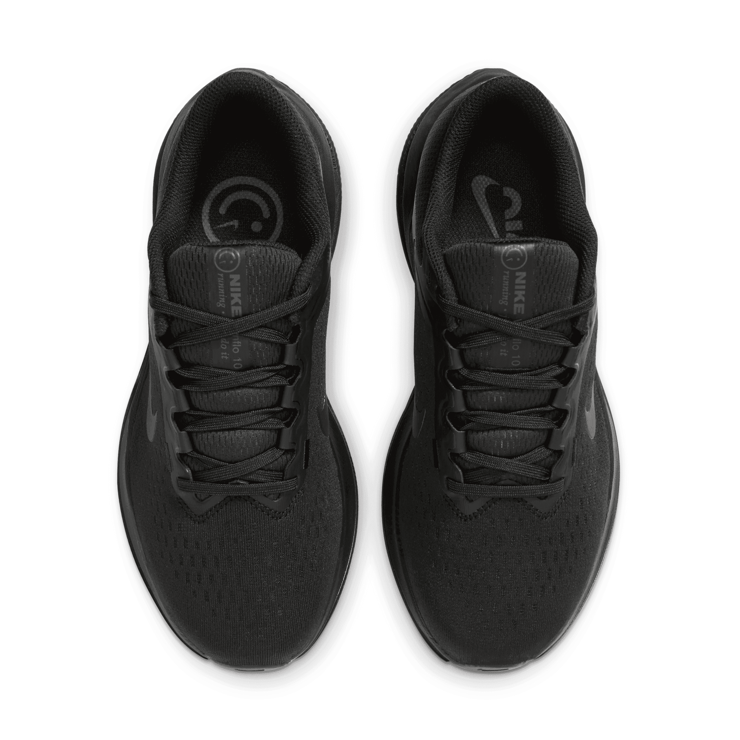 Nike Winflo 10 Road Angle 2