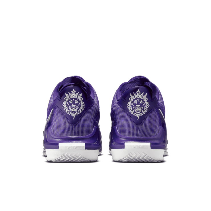 Nike LeBron Witness TB 'Court Purple' DZ3299-500