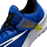 Nike Air Zoom Pegasus 39 FlyEase 'Racer Blue Sundial' Angle 7