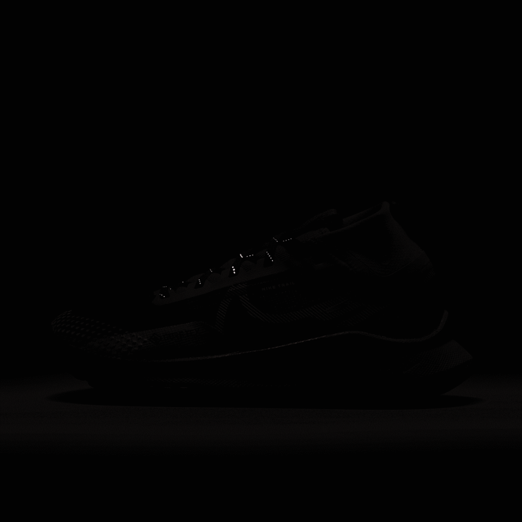 Nike Pegasus Trail 4 GORE-TEX Waterproof Trail Angle 8