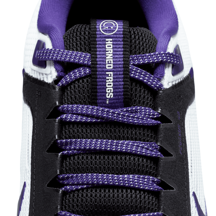 Nike Air Zoom Pegasus 40 'TCU' Angle 8