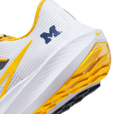 Nike Air Zoom Pegasus 40 'Michigan' Angle 6
