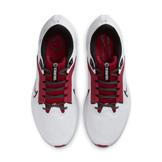Nike Air Zoom Pegasus 40 'Stanford' Angle 2
