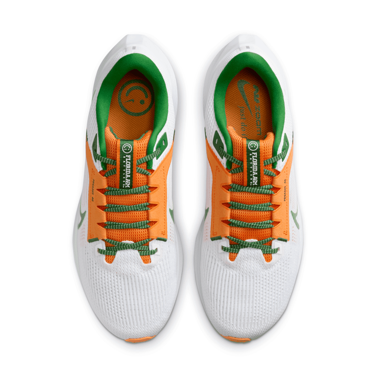 Nike Air Zoom Pegasus 40 'Florida A&M University' Angle 2