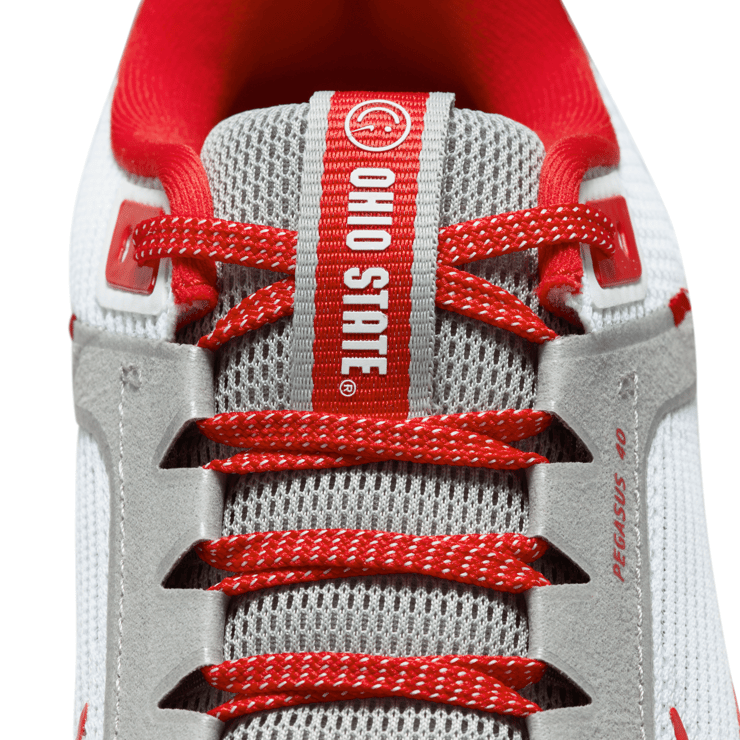 Nike Air Zoom Pegasus 40 'Ohio State' Angle 8