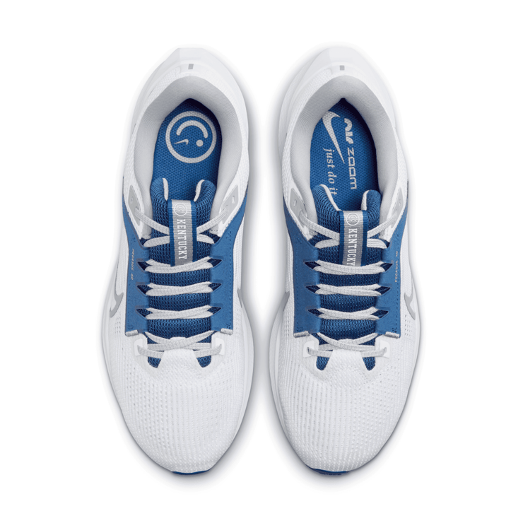 Nike Air Zoom Pegasus 40 'Kentucky' Angle 2