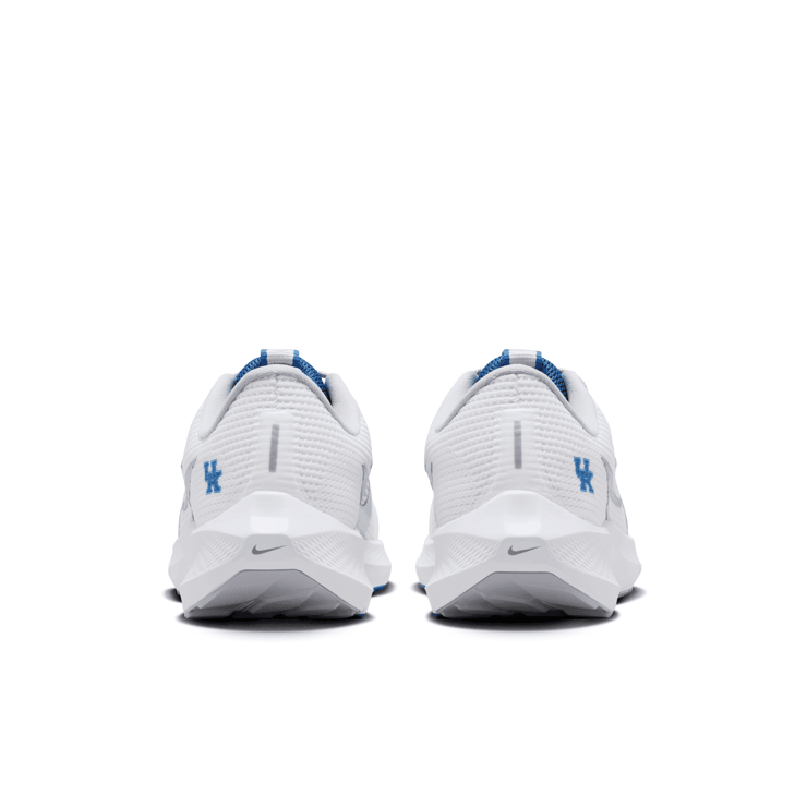 Nike Air Zoom Pegasus 40 'Kentucky' Angle 4