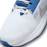 Nike Air Zoom Pegasus 40 'Kentucky' Angle 5