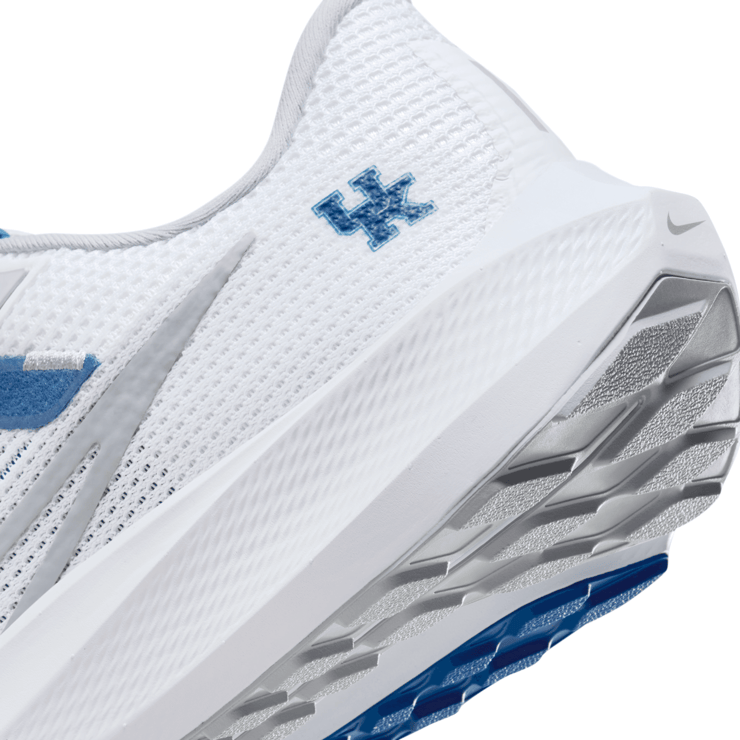 Nike Air Zoom Pegasus 40 'Kentucky' Angle 6