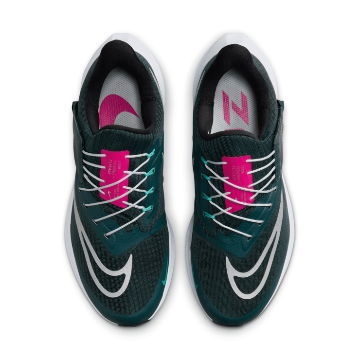 Nike Air Zoom Pegasus 39 FlyEase 'Deep Jungle Metallic Silver' (W) Angle 2