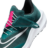 Nike Air Zoom Pegasus 39 FlyEase 'Deep Jungle Metallic Silver' (W) Angle 7