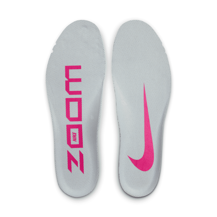 Nike Air Zoom Pegasus 39 FlyEase 'Deep Jungle Metallic Silver' (W) Angle 8