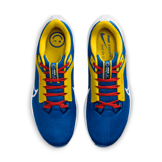 Nike Air Zoom Pegasus 40 'Club América' Angle 2