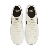 Nike SB BLZR Court Mid Skate Angle 2