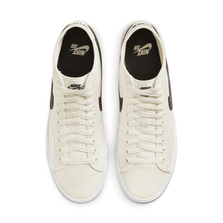 Nike SB BLZR Court Mid Skate Angle 2