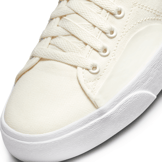Nike SB BLZR Court Mid Skate Angle 5