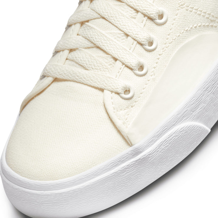 Nike SB BLZR Court Mid Skate Angle 5