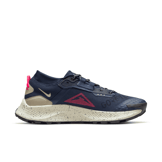 Nike Pegasus Trail 3 GORE-TEX Waterproof Trail Angle 1
