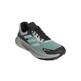adidas TERREX SOULSTRIDE FLOW GTX Angle 2
