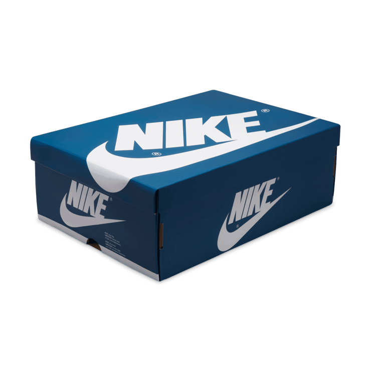 Air Jordan 1 High True Blue Angle 6