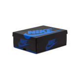 Air Jordan 1 Retro High OG Royal Reimagined (GS) Angle 6
