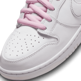 Nike SB Dunk Low Pro BETRUE Angle 4
