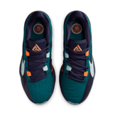 Nike Zoom Freak 5 Nigerian Nightmare Angle 2