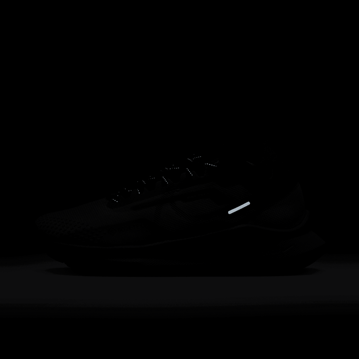 Nike Pegasus Trail 4 GORE-TEX Waterproof Trail Angle 6