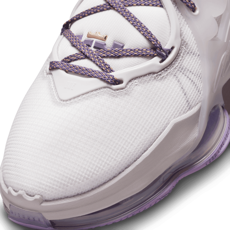 Nike LeBron 19 Strive For Greatness Angle 4