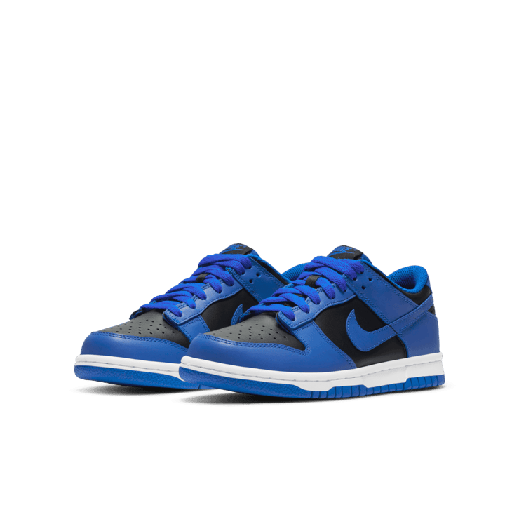 Nike Dunk Low Retro Hyper Cobalt (GS) Angle 2