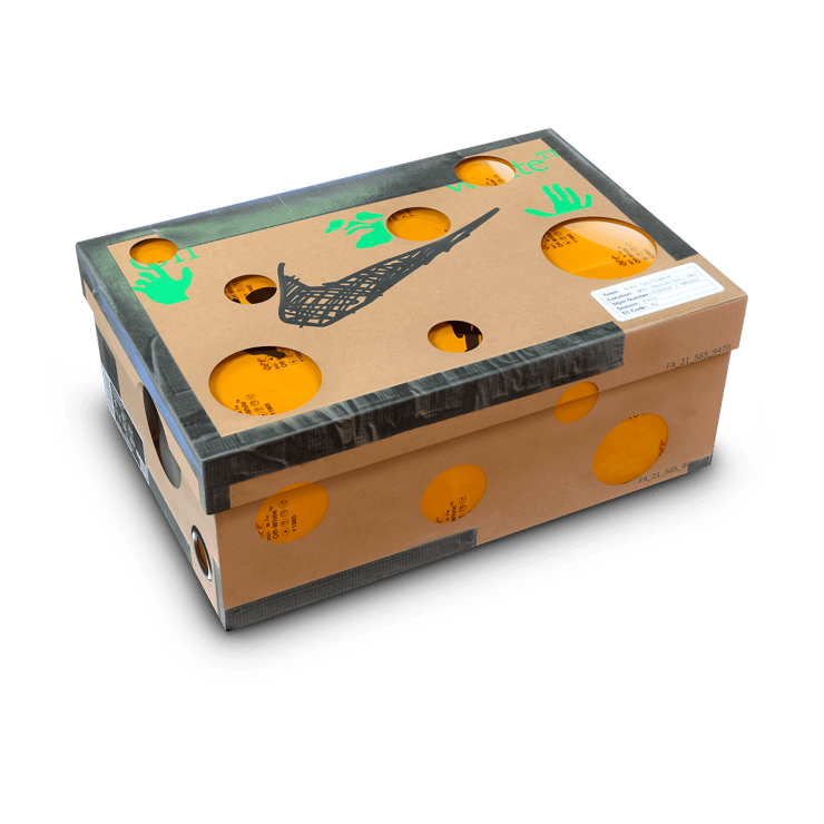 Nike Dunk Low Off White Lot 43 DM1602 128 Raffles Where to Buy