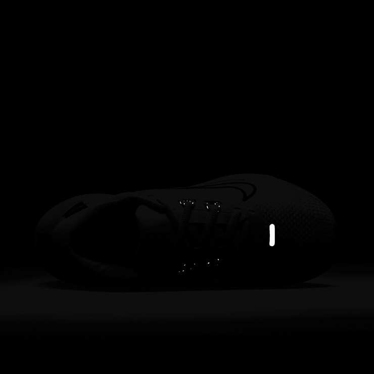 Nike Juniper Trail 2 GORE-TEX 'Pale Ivory Black' (W) Angle 7