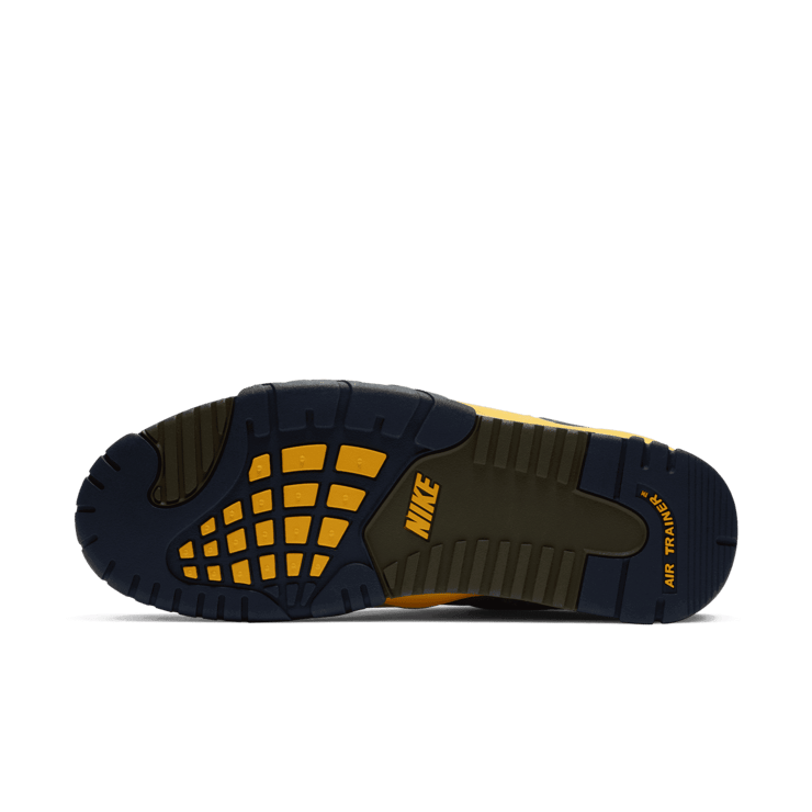 Nike Air Trainer 3 Viotech (2020) Angle 0