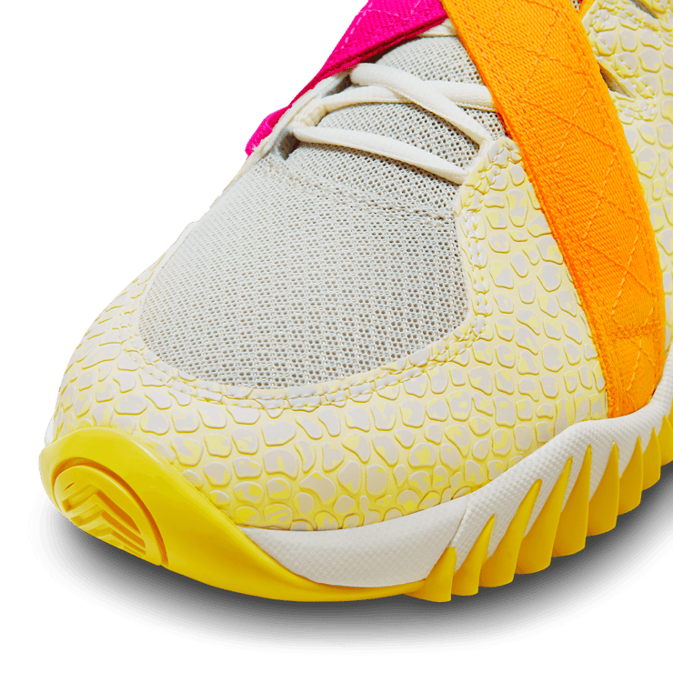 Nike Zoom Court Dragon Multi-Color Angle 4